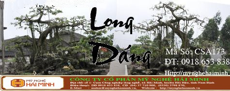 Do go my nghe Hai Minh - Hai Hau - Nam Dinh